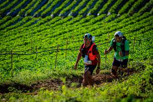 BIB: 
                            <button type="button" onclick="openModal(19160524)" class="btn btn-primary btn-sm float-right btn-popup" data-toggle="modal" data-target=".modal-high-quality">
                        <i class="fas fa-shopping-cart"></i> Add to Cart
                    </button>
                                            <button type="button" onclick="isThisMe(19160524, true)" class="btn btn-success btn-sm float-right btn-popup btn-isme hidden" data-toggle="tooltip" data-placement="bottom" title="นี่คือรูปของคุณใช่ไหม คลิกที่นี่เพื่อเอาเข้าอัลบั้ม">
                        <i class="fas fa-plus"></i> Add to album
                    </button>
                    <button type="button" onclick="isThisMe(19160524, false)" class="btn btn-warning btn-sm float-right btn-popup btn-isnotme hidden">
                        <i class="fas fa-ban"></i> Remove from album
                    </button>